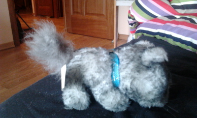 The Cat Collection №26 Балийская кошка Фото