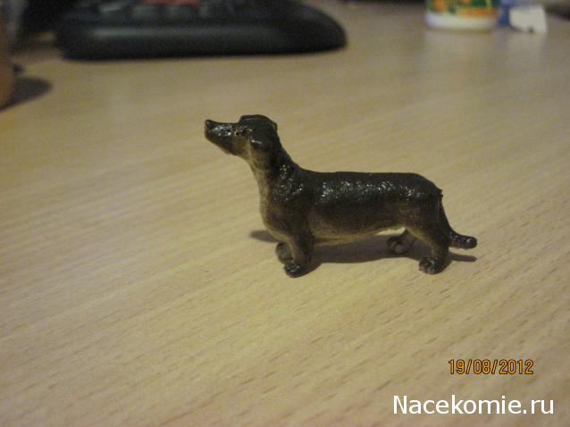 Жильцы Дома Мечты фото, ссылки, обсуждение