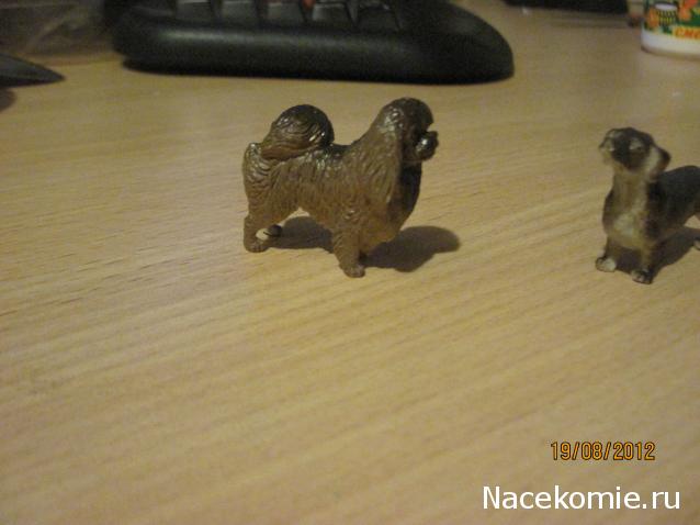 Жильцы Дома Мечты фото, ссылки, обсуждение