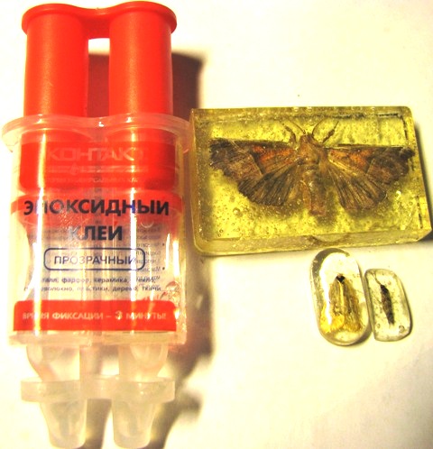 Самостоятельное коллекционирование насекомых