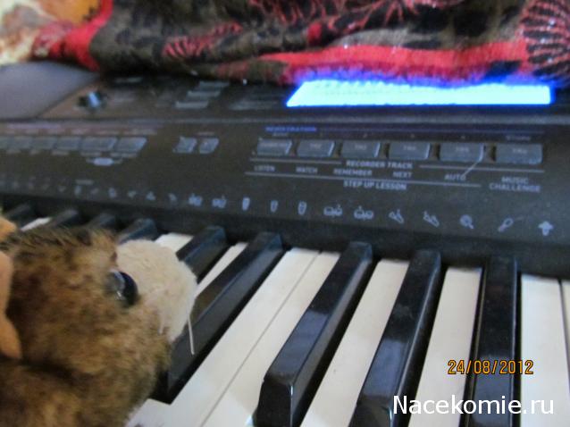 Кошкин дом. Болталка The Cat Collection