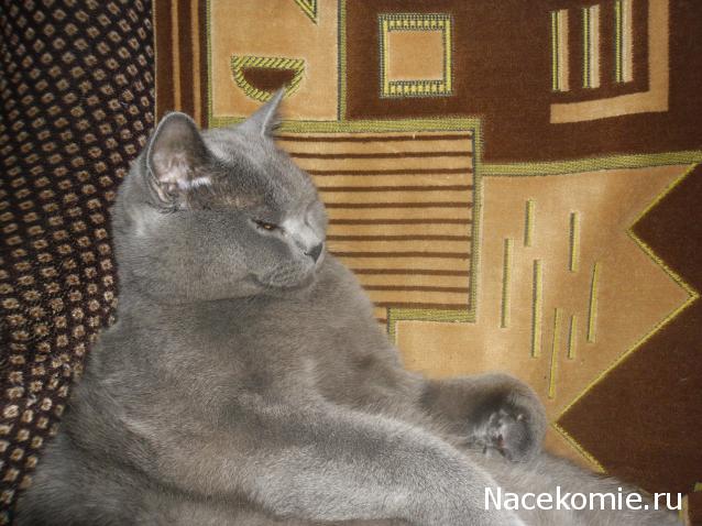 Жильцы Дома Мечты фото, ссылки, обсуждение