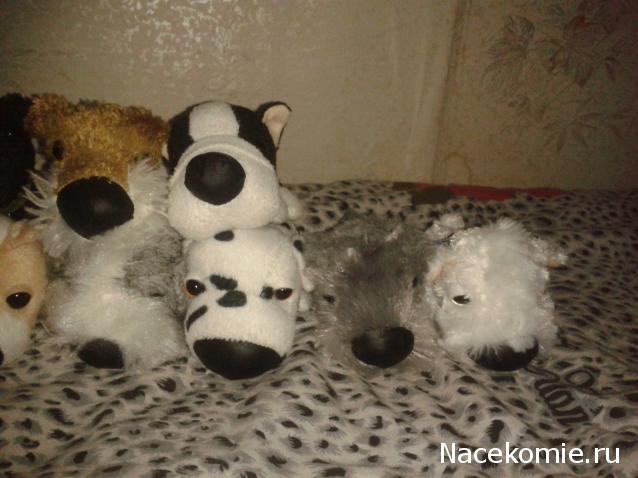 The Dog Collection Болталка