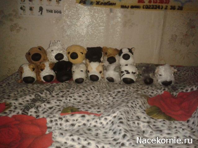 The Dog Collection Болталка