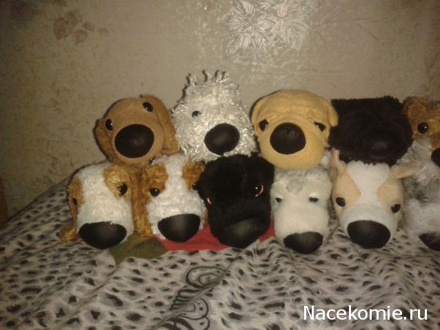 The Dog Collection Болталка