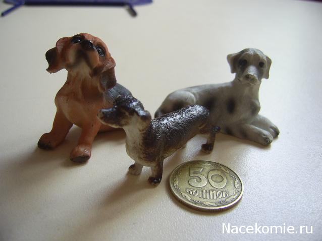 Жильцы Дома Мечты фото, ссылки, обсуждение