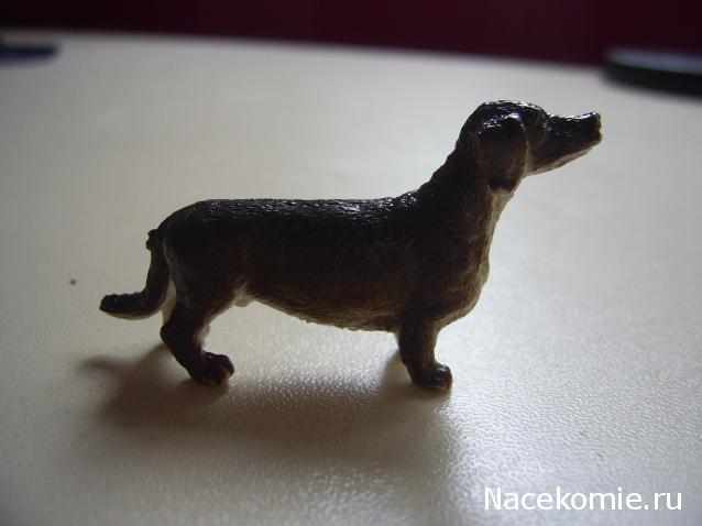 Жильцы Дома Мечты фото, ссылки, обсуждение