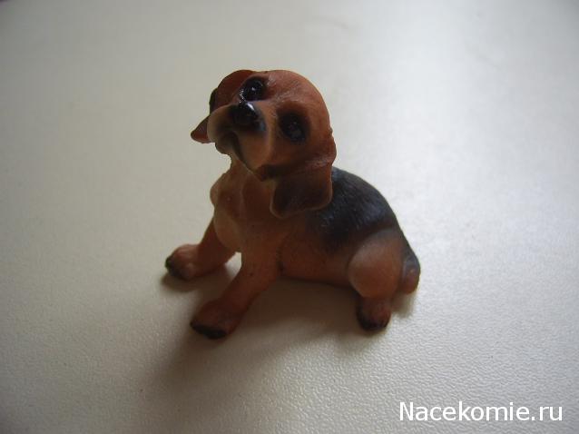 Жильцы Дома Мечты фото, ссылки, обсуждение