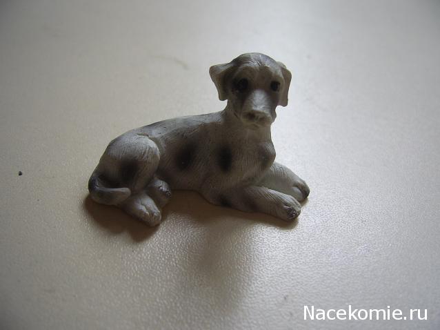 Жильцы Дома Мечты фото, ссылки, обсуждение