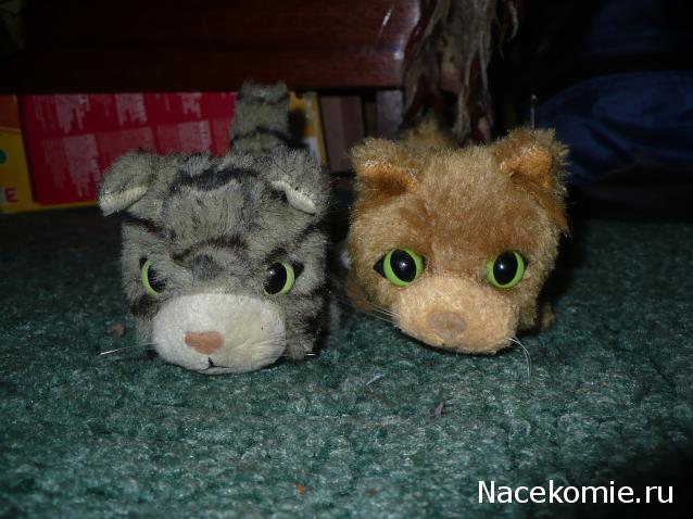 Кошкин дом. Болталка The Cat Collection