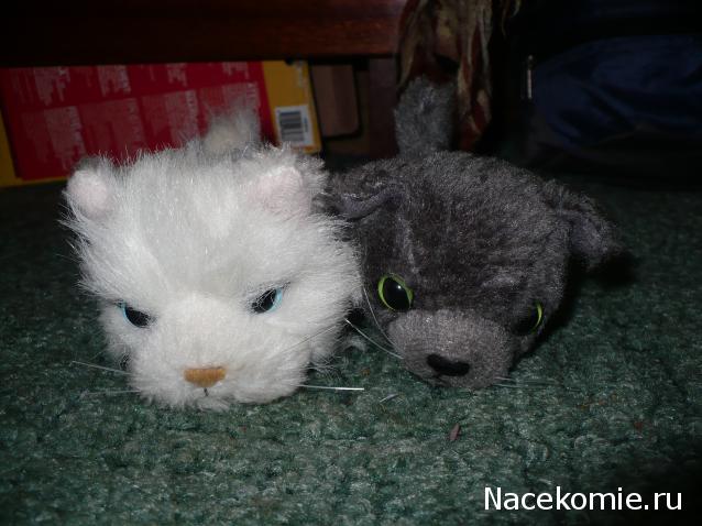 Кошкин дом. Болталка The Cat Collection