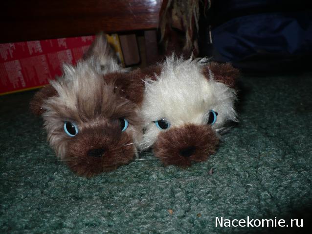 Кошкин дом. Болталка The Cat Collection