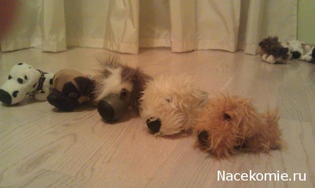 The Dog Collection Болталка