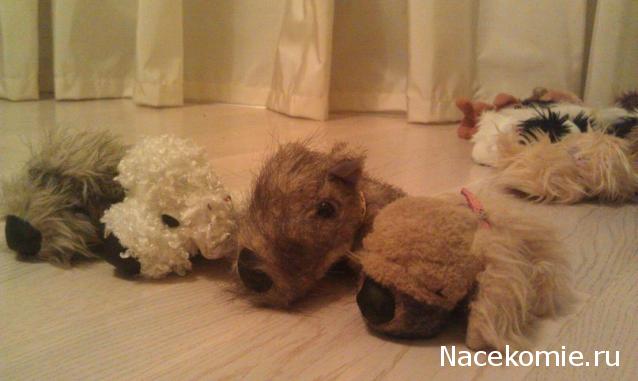 The Dog Collection Болталка