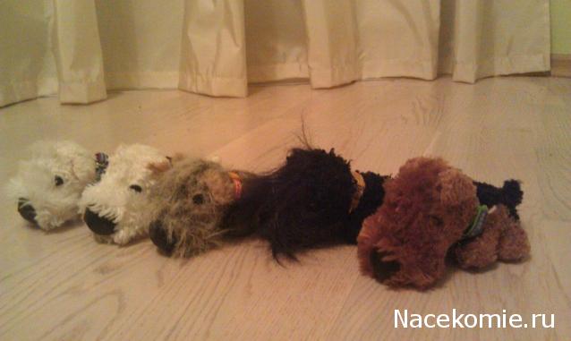 The Dog Collection Болталка