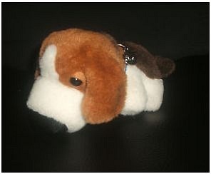 The Dog Collection №22 Бигль