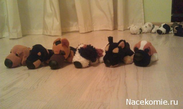 The Dog Collection Болталка