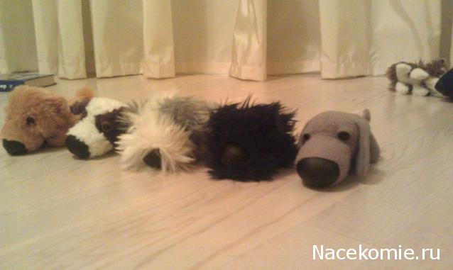 The Dog Collection Болталка