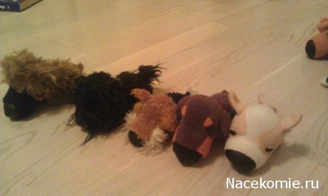 The Dog Collection Болталка