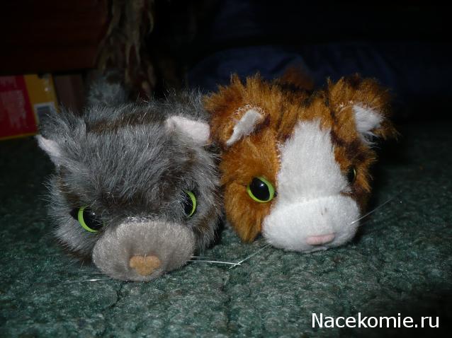 Кошкин дом. Болталка The Cat Collection