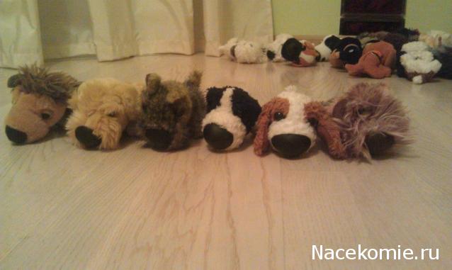 The Dog Collection Болталка