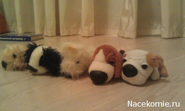 The Dog Collection Болталка