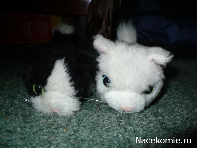 Кошкин дом. Болталка The Cat Collection