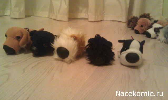 The Dog Collection Болталка