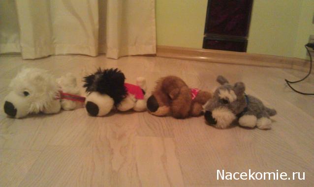 The Dog Collection Болталка