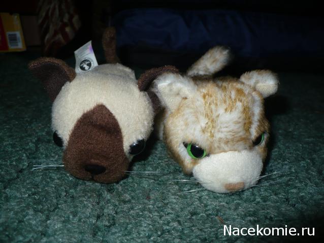 Кошкин дом. Болталка The Cat Collection