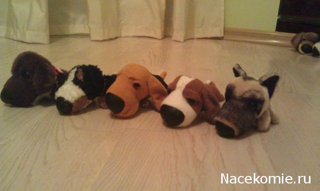 The Dog Collection Болталка