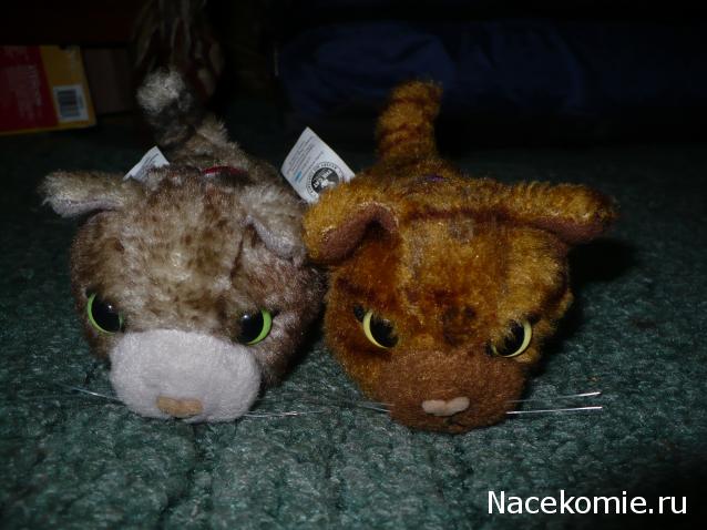 Кошкин дом. Болталка The Cat Collection