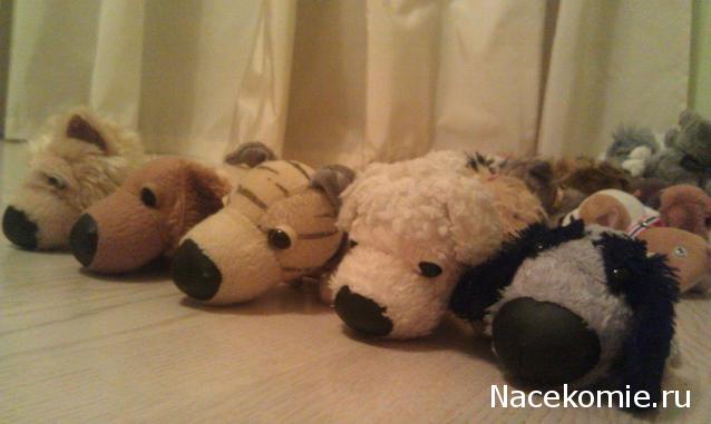 The Dog Collection Болталка