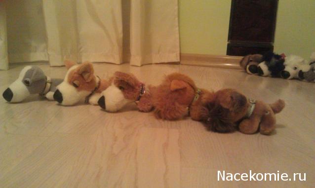 The Dog Collection Болталка