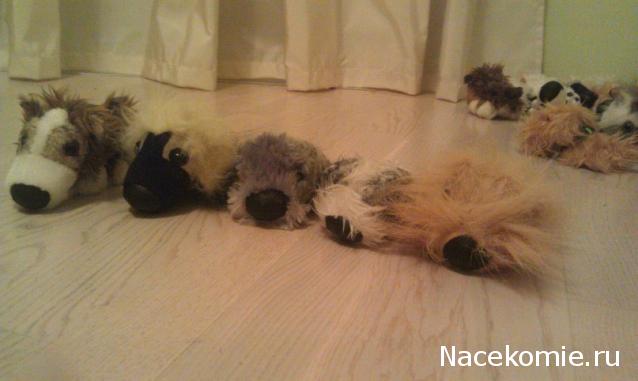 The Dog Collection Болталка