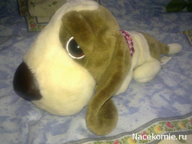 The Dog Collection Болталка