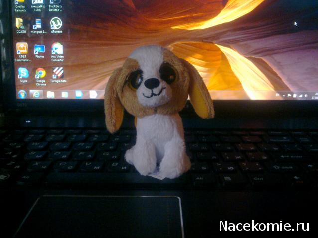 The Dog Collection Болталка