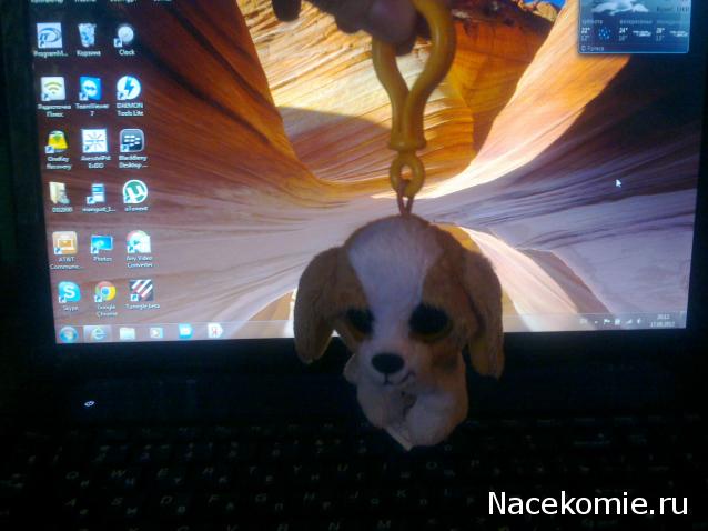 The Dog Collection Болталка