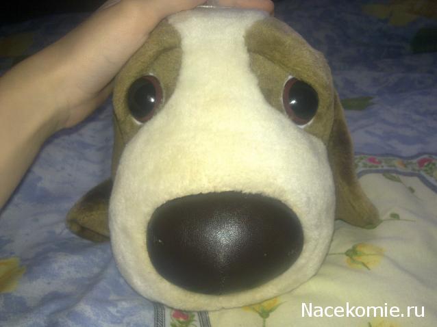 The Dog Collection Болталка