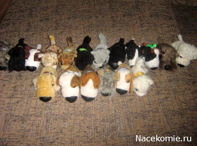 The Dog Collection №22 Бигль