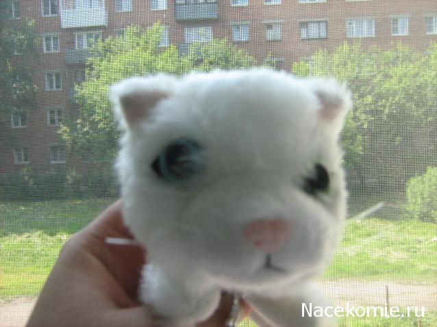 Кошкин дом. Болталка The Cat Collection