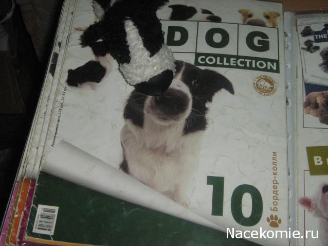 The Dog Collection №10 Бордер-колли