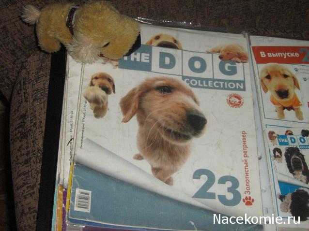 The Dog Collection №23 Золотистый ретривер