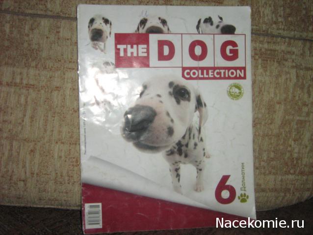 The Dog Collection №6 Далматин