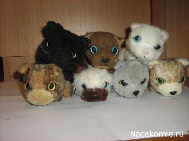 Кошкин дом. Болталка The Cat Collection