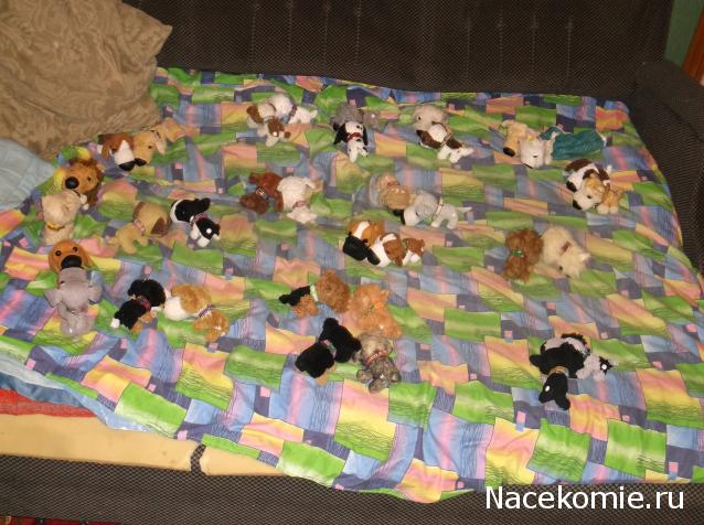 The Dog Collection Болталка