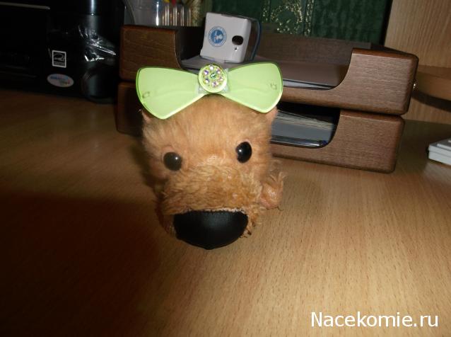 The Dog Collection Болталка