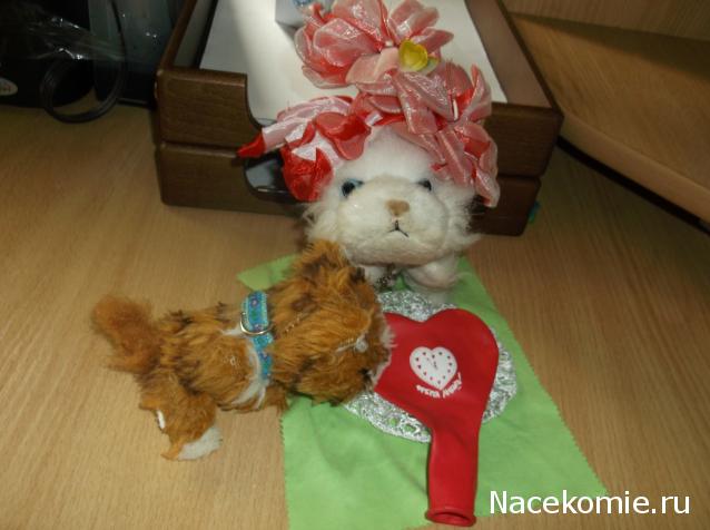 Кошкин дом. Болталка The Cat Collection