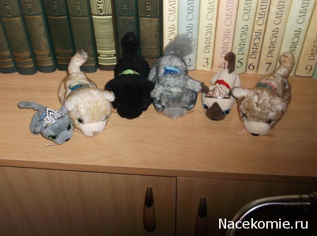 Кошкин дом. Болталка The Cat Collection