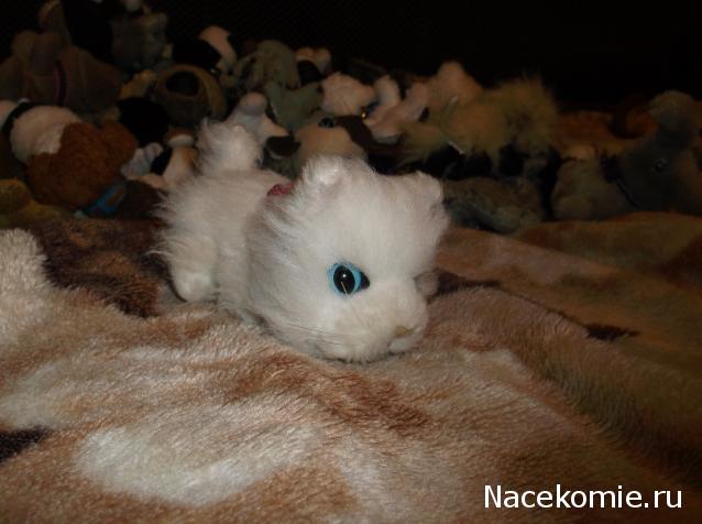 Кошкин дом. Болталка The Cat Collection